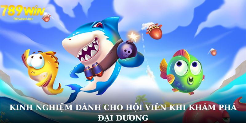 Kinh nghiệm dành cho hội viên khi khám phá đại dương